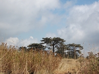 Torrente_Quarantore - 20110911 181.jpg